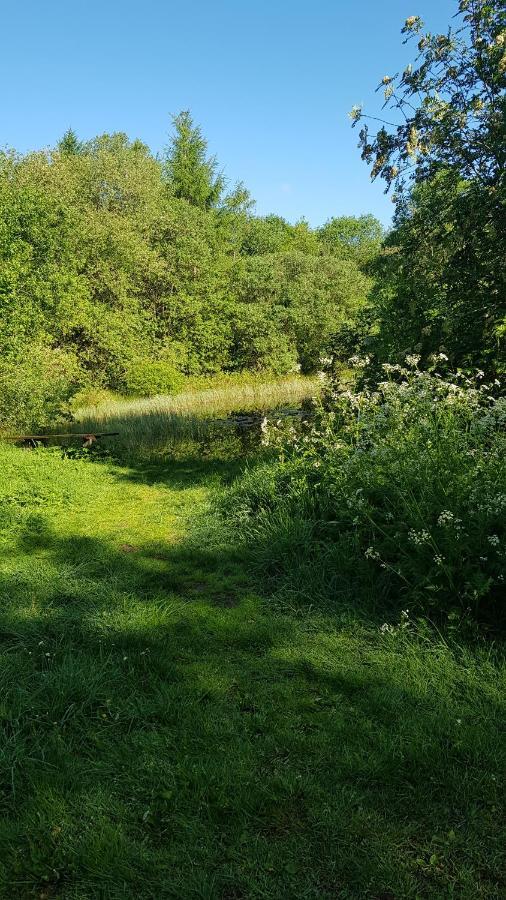 Basic Ingerichte Vouwwagen Op Camping Westenenk, Wijster Экстерьер фото